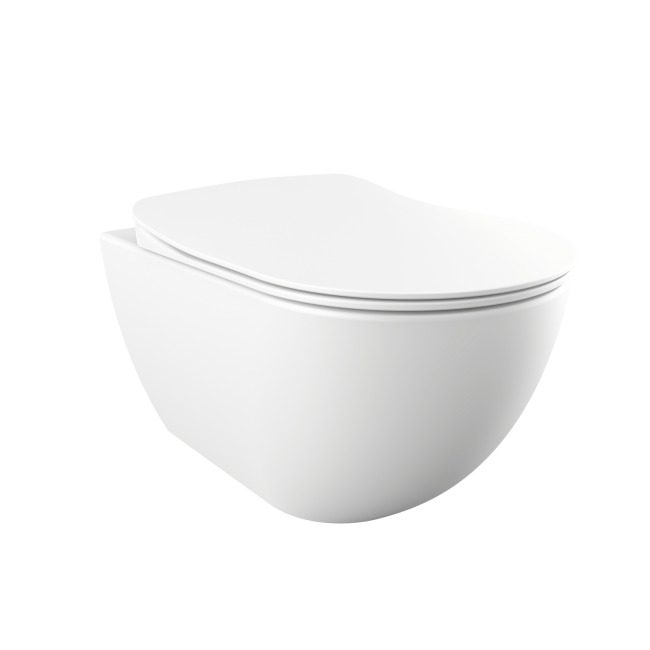 CREAVIT FREE Унитаз подвесной с биде БЕЛЫЙ МАТОВЫЙ FE320-00MB00E-0000 CREAVIT FREE Унитаз подвесной с биде БЕЛЫЙ МАТОВЫЙ FE320-00MB00E-0000