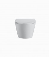 Унитаз подвесной безободковый (торнадо) DQ Rhein.Bach 500*360*350мм, сиденье микролифт, белый (DT1476516)