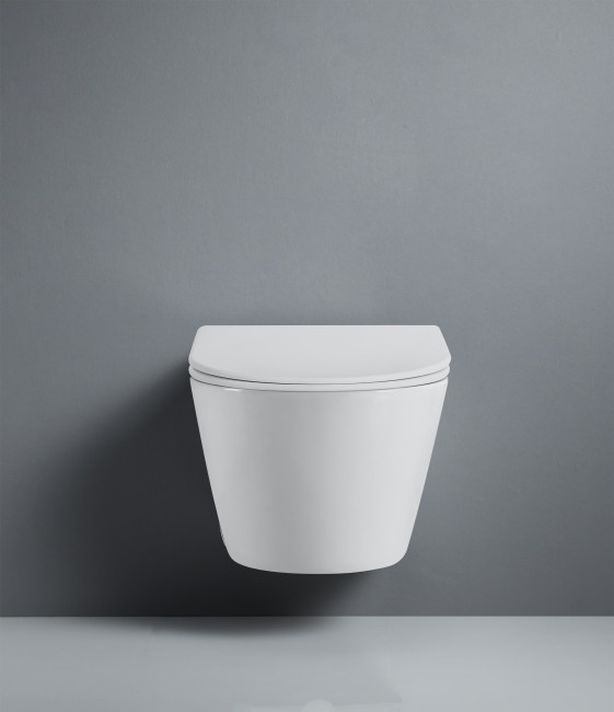 Унитаз подвесной безободковый (торнадо) DQ Rhein.Bach 500*360*350мм, сиденье микролифт, белый (DT1476516)