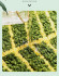 Коврик 45х75 Carnation Home Fashions Water Leaves R75WLV