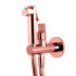 Carlo Frattini Collettivita Гигиенический душ, настенный, со  смесителем, цвет: античная медь