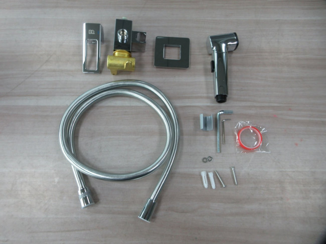 Гигиенический душ DQ Dortmund встраиваемый (DA1714501) Гигиенический душ DQ Dortmund встраиваемый (DA1714501)