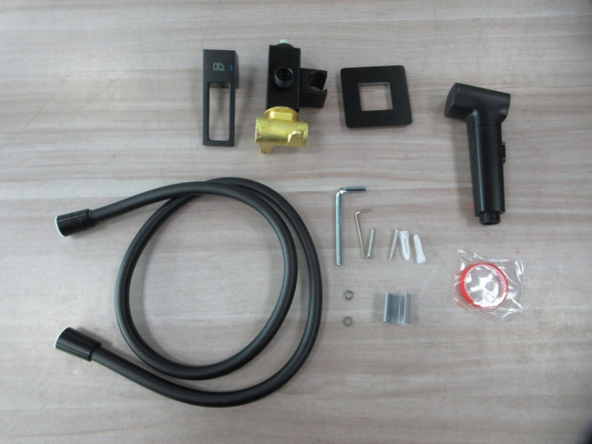 Гигиенический душ DQ Dortmund встраиваемый (DA1714505)