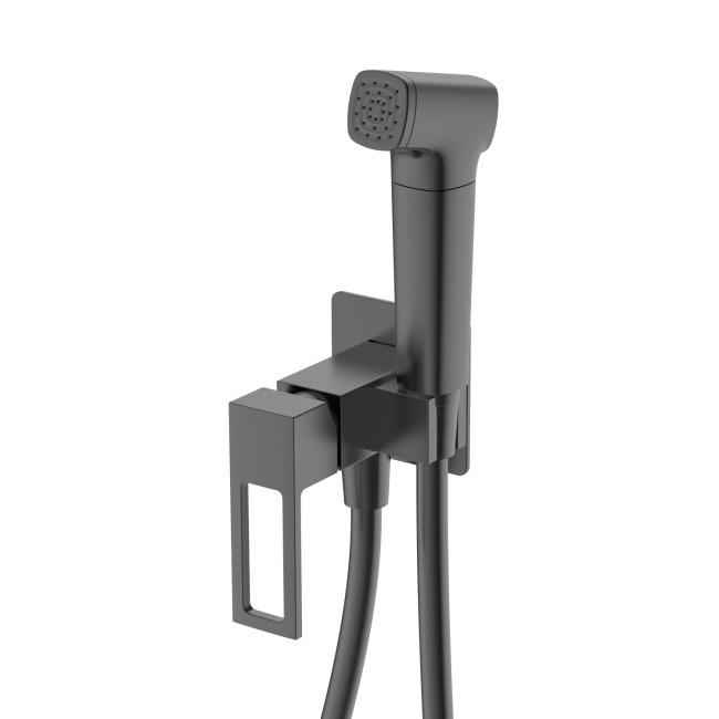 Гигиенический душ DQ Dortmund встраиваемый (DA1714506) Гигиенический душ DQ Dortmund встраиваемый (DA1714506)