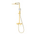 Душевая система со смесителем DQ Dortmund мат.золото (DA1713707)
