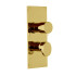 Carlo Frattini Fimatherm Смеситель для душа встроенный, термостатический, с переключателем на 2/3 источника, цвет: золото