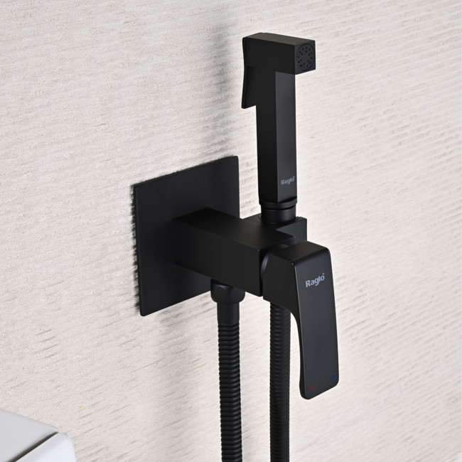 Смеситель Raglo встраиваемый с гигиеническим душем (R01.52.06) Смеситель Raglo встраиваемый с гигиеническим душем (R01.52.06)