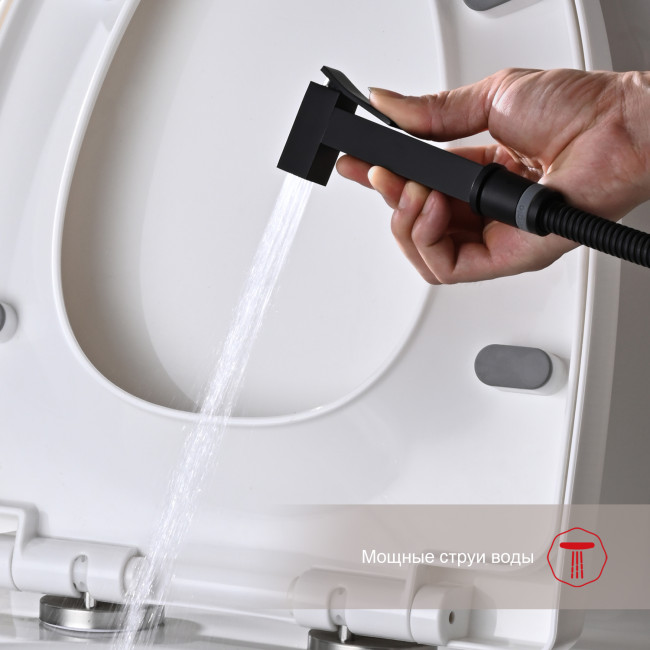 Смеситель Raglo встраиваемый с гигиеническим душем (R01.52.06) Смеситель Raglo встраиваемый с гигиеническим душем (R01.52.06)