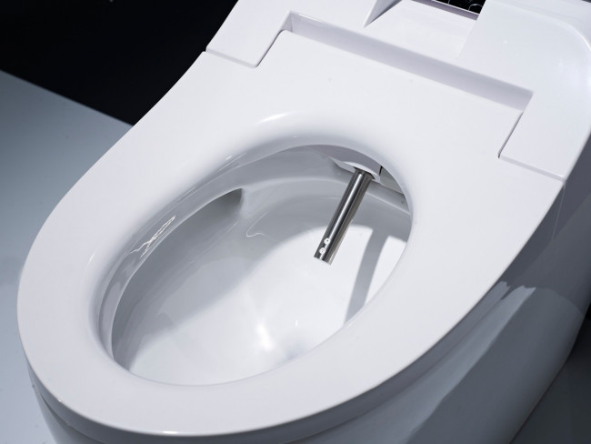 Электронный унитаз-биде TIMO 690*400*540 (ТЕ-721) Электронный унитаз-биде TIMO 690*400*540 (ТЕ-721)