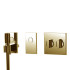 Carlo Frattini Switch Смеситель для душа встраиваемый, термостатический, на 2 положен, ручной душ и черный шланг 1500мм, внешн часть, цвет: золото